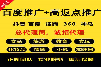 百度SEM竞价推广，案例解析转化率提升秘诀